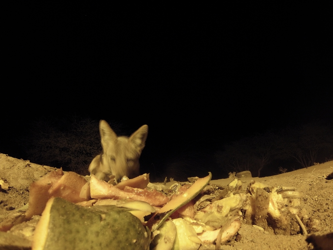 [9765] 2016_06_23_18_44_20_Africa_Hero3-Silver_Edition_IMG__00922.jpg