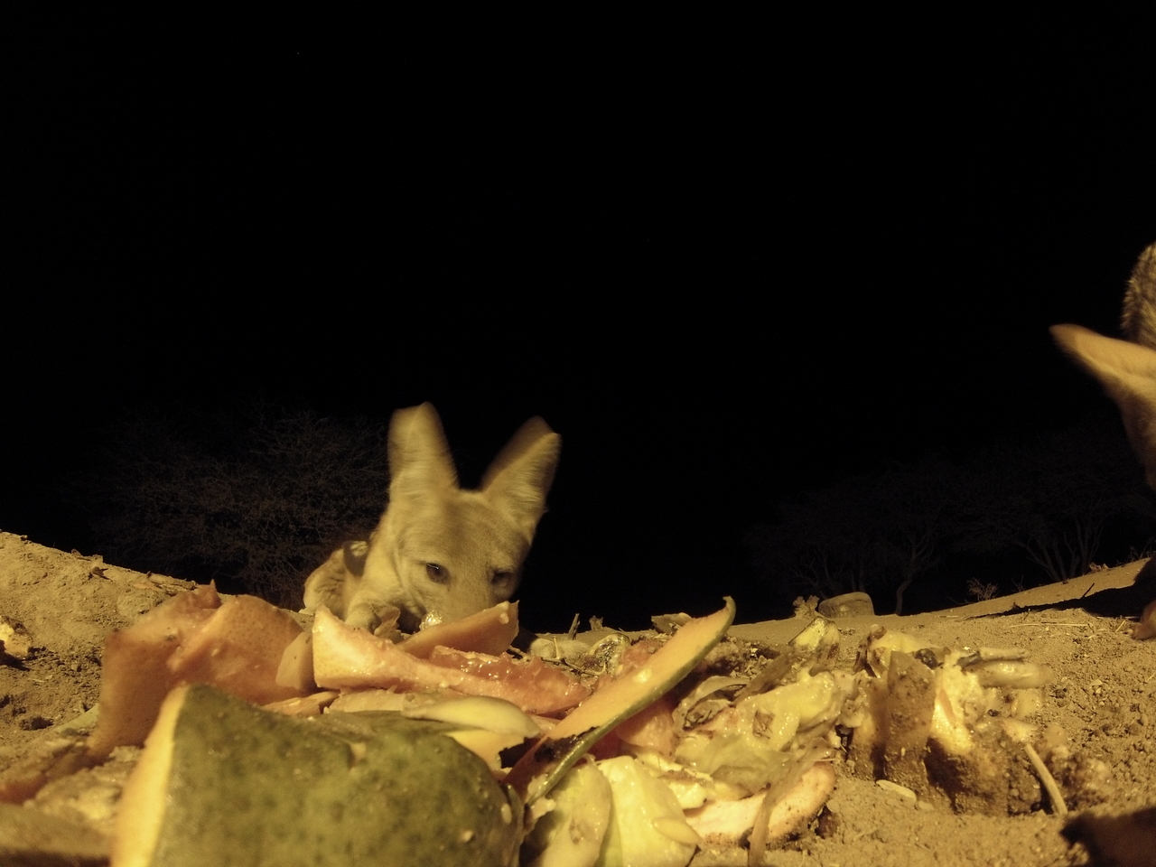 [9771] 2016_06_23_18_44_30_Africa_Hero3-Silver_Edition_IMG__00925.jpg