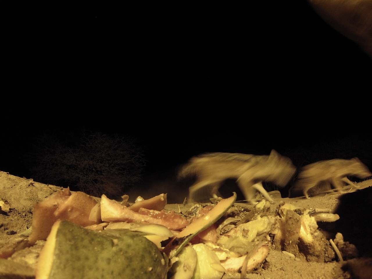 [9775] 2016_06_23_18_44_34_Africa_Hero3-Silver_Edition_IMG__00927.jpg