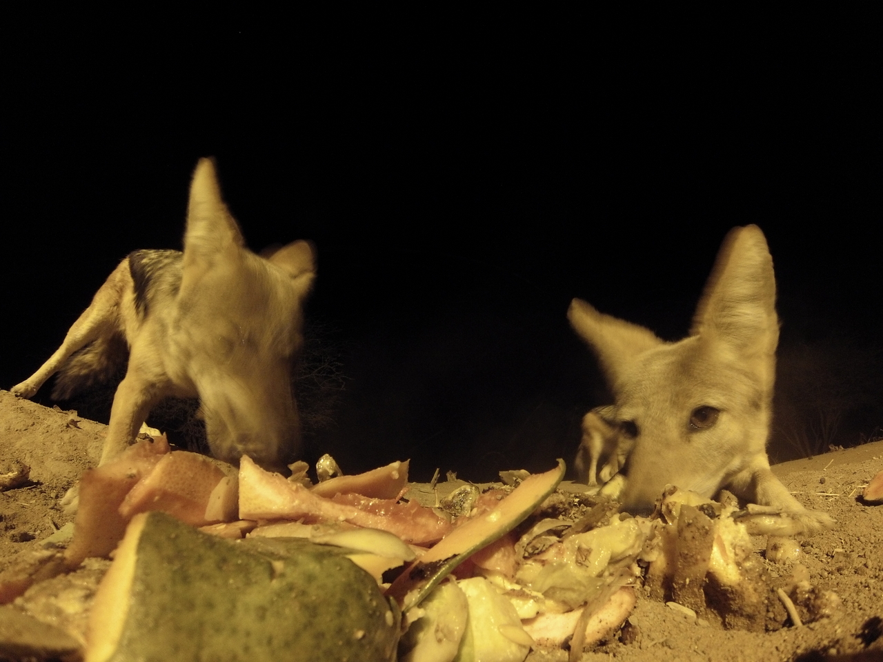 [9788] 2016_06_23_18_44_52_Africa_Hero3-Silver_Edition_IMG__00486.jpg