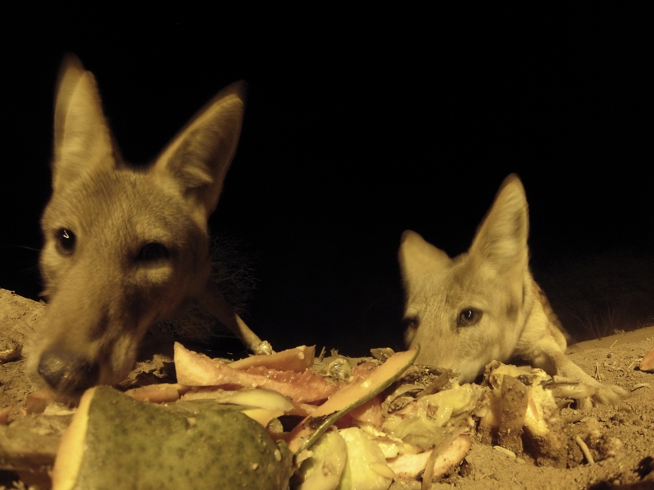 [9795] 2016_06_23_18_45_00_Africa_Hero3-Silver_Edition_IMG__00937.jpg