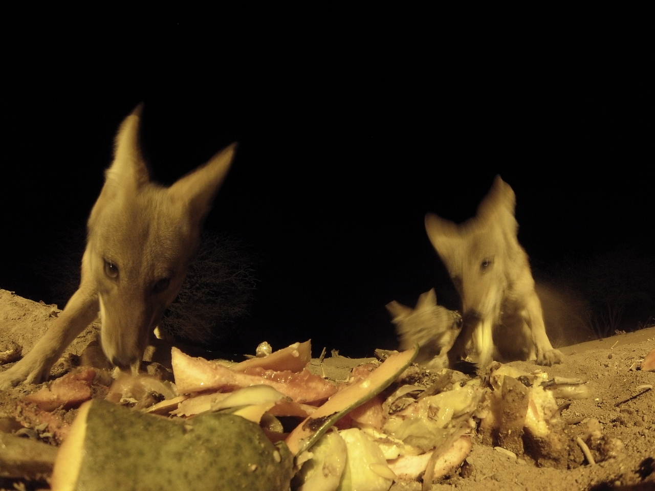 [9800] 2016_06_23_18_45_06_Africa_Hero3-Silver_Edition_IMG__00492.jpg