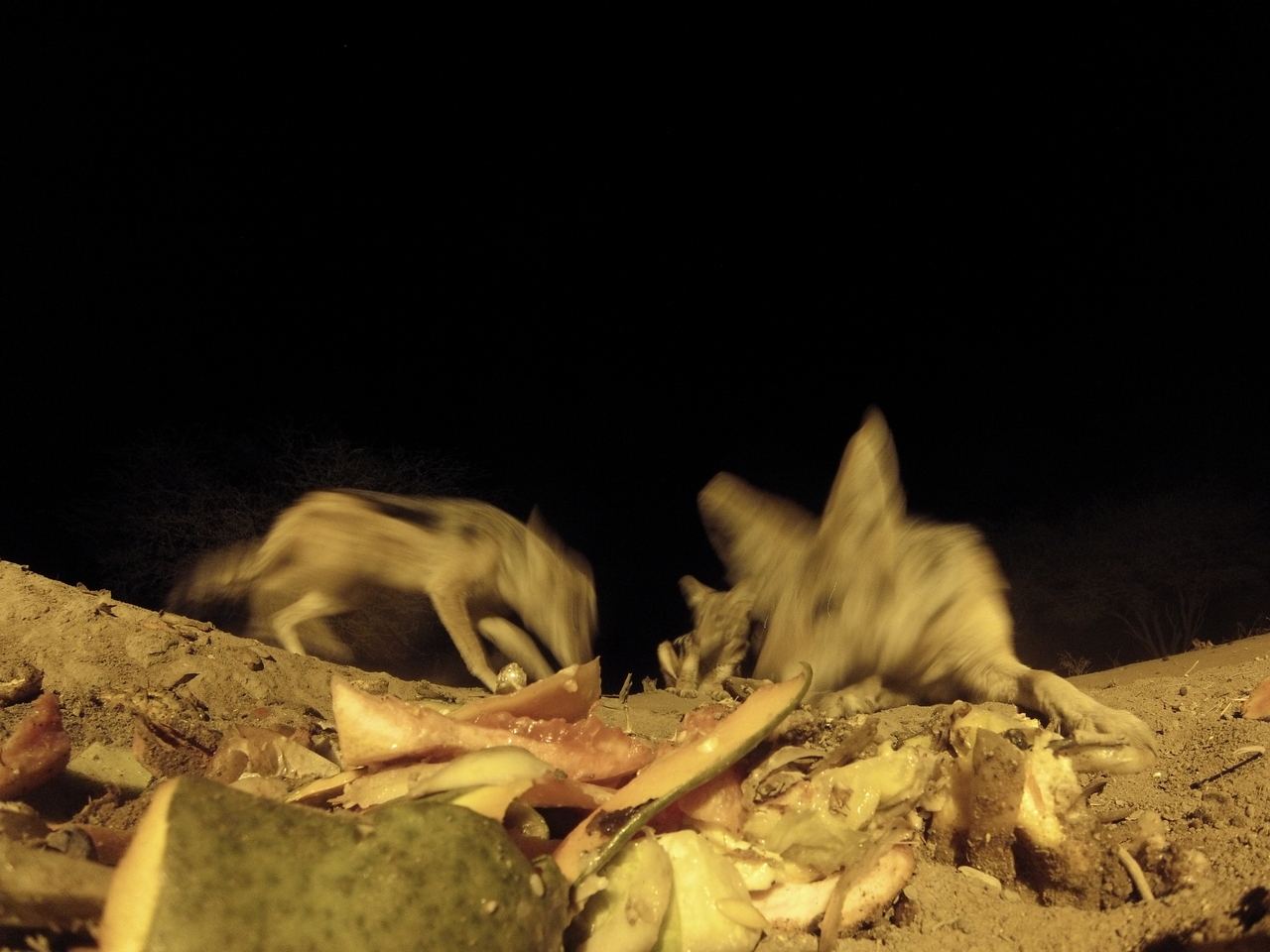 [9804] 2016_06_23_18_45_12_Africa_Hero3-Silver_Edition_IMG__00494.jpg