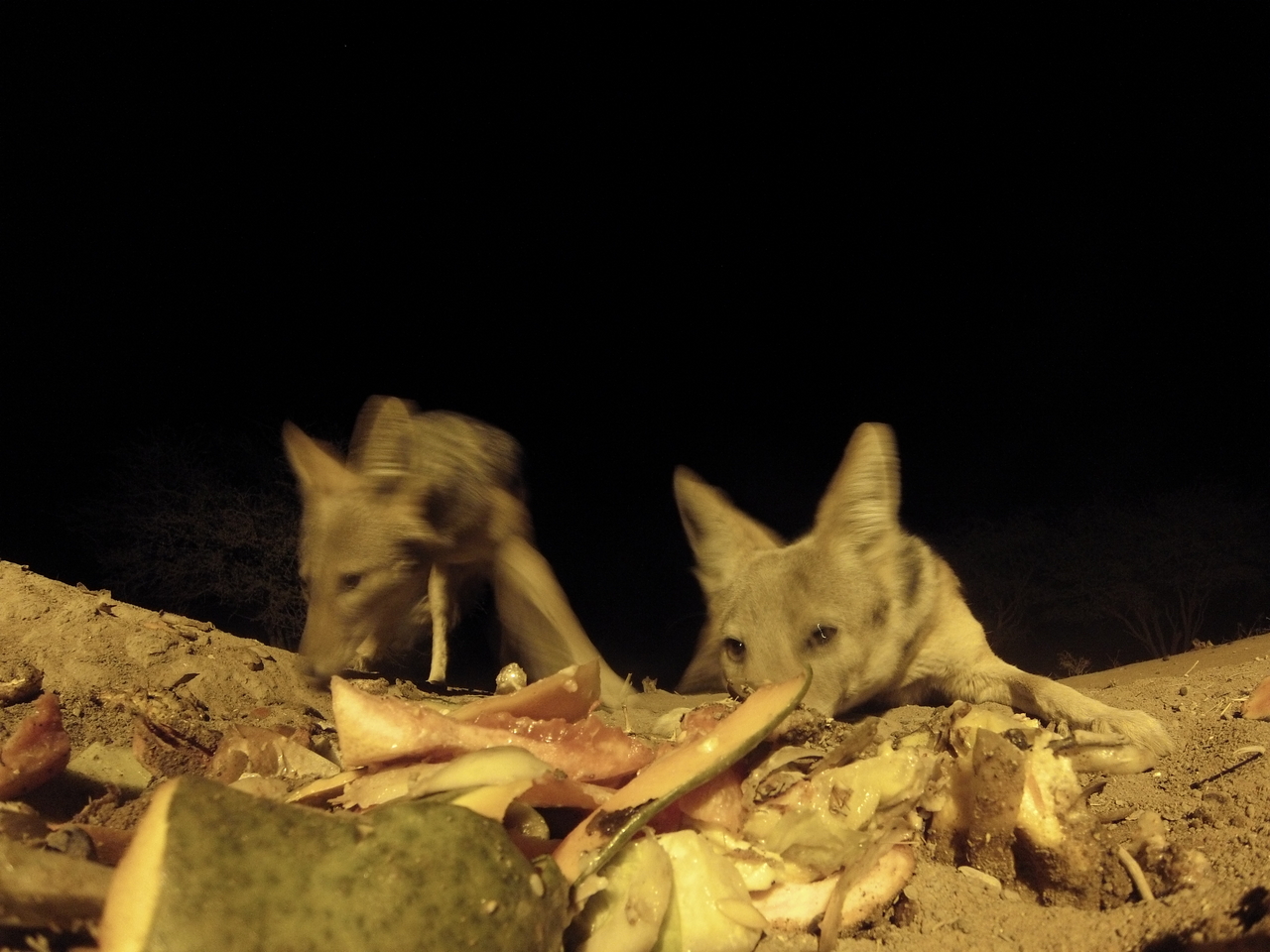 [9807] 2016_06_23_18_45_14_Africa_Hero3-Silver_Edition_IMG__00943.jpg