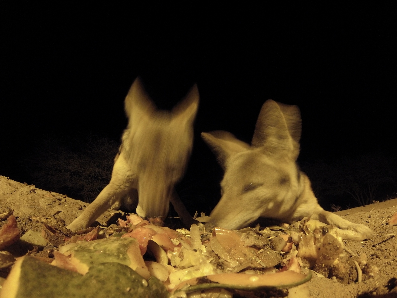 [9817] 2016_06_23_18_45_26_Africa_Hero3-Silver_Edition_IMG__00948.jpg