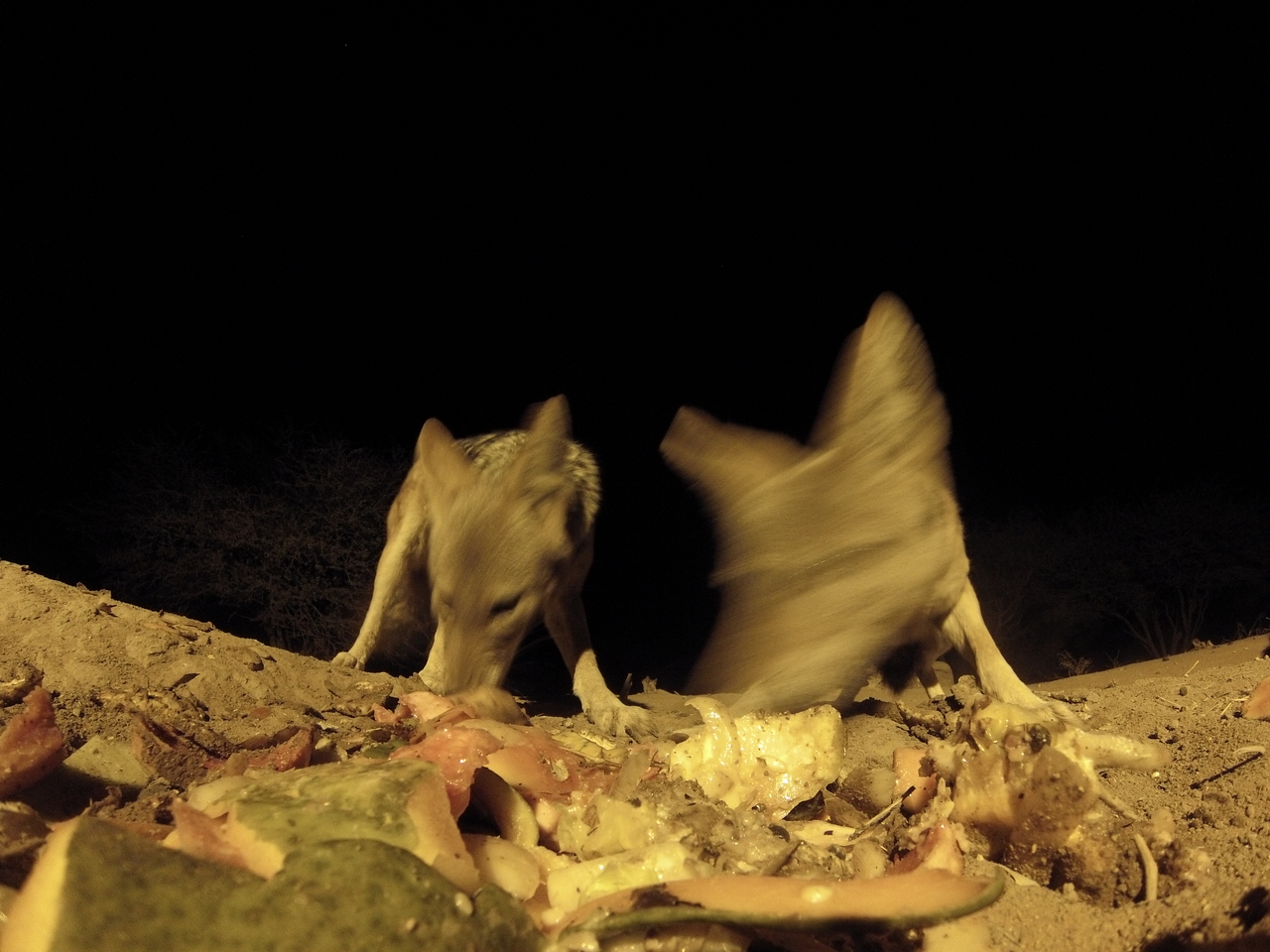 [9819] 2016_06_23_18_45_30_Africa_Hero3-Silver_Edition_IMG__00949.jpg