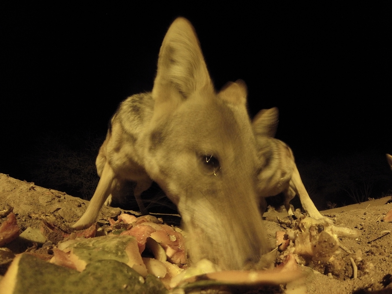 [9820] 2016_06_23_18_45_31_Africa_Hero3-Silver_Edition_IMG__00502.jpg