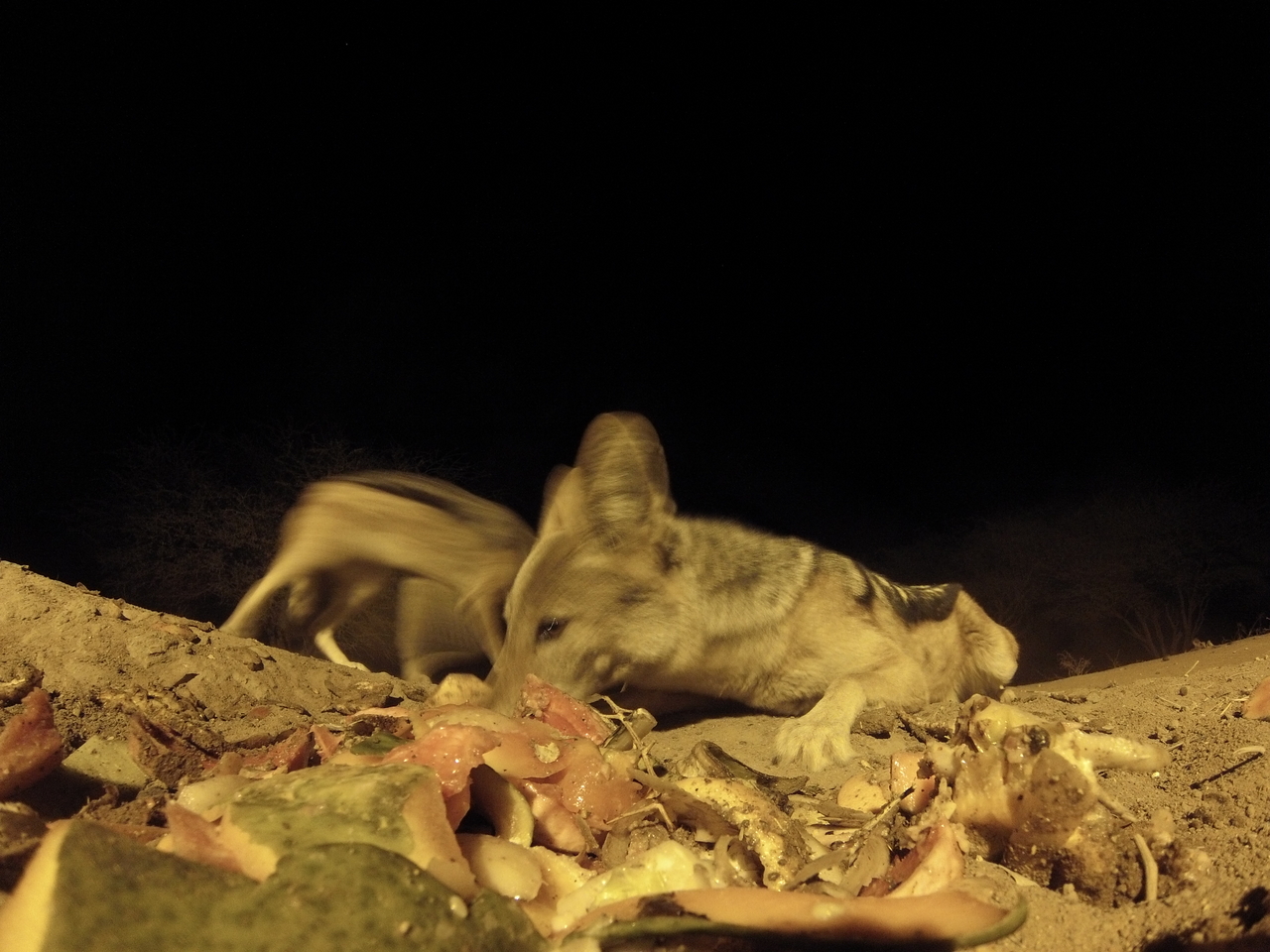 [9838] 2016_06_23_18_45_58_Africa_Hero3-Silver_Edition_IMG__00511.jpg