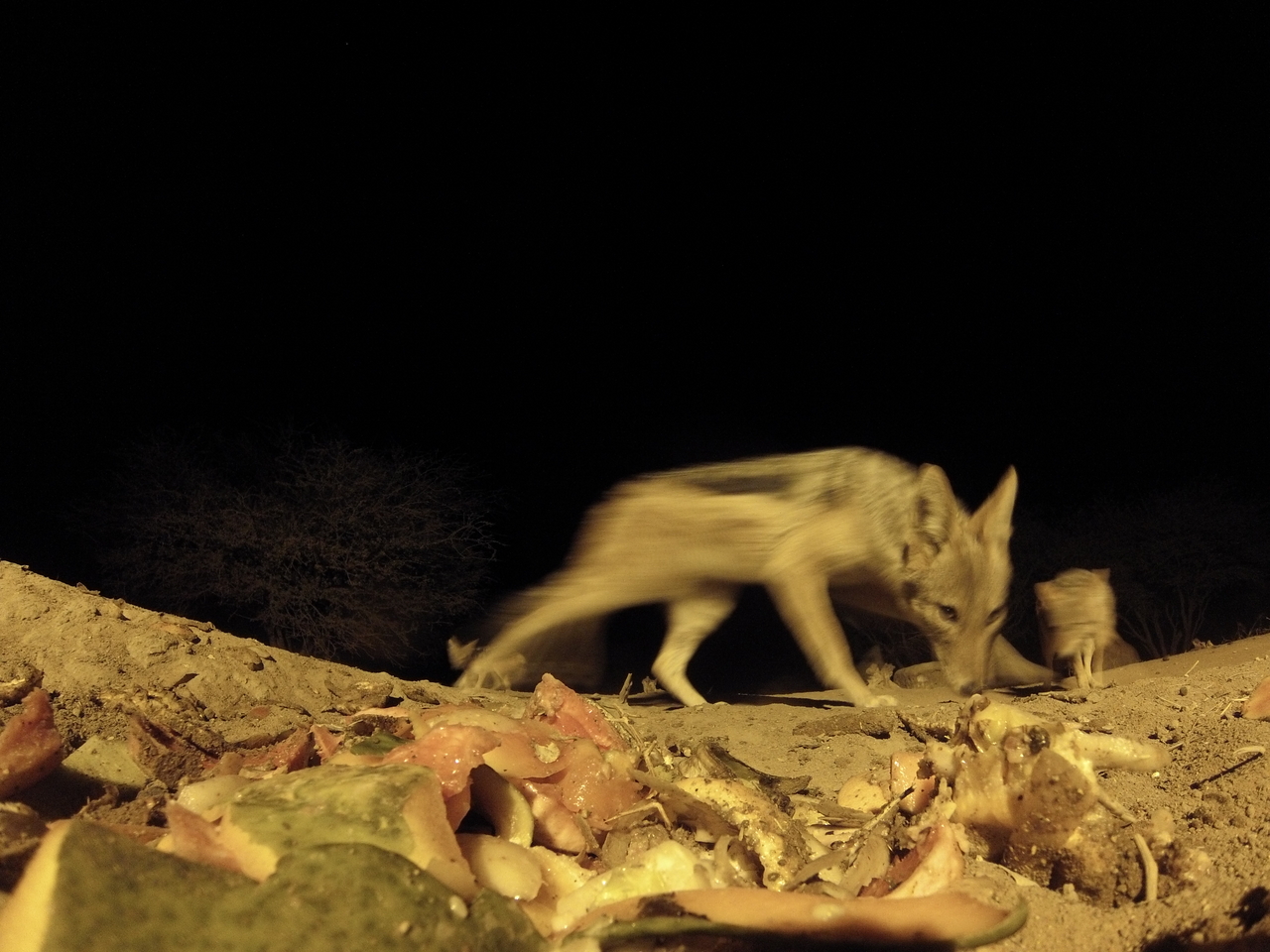 [9845] 2016_06_23_18_46_08_Africa_Hero3-Silver_Edition_IMG__00962.jpg