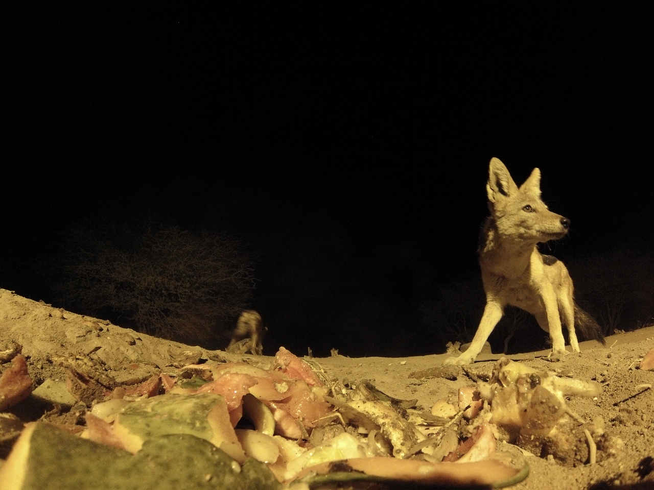 [9848] 2016_06_23_18_46_13_Africa_Hero3-Silver_Edition_IMG_8041_00038.jpg