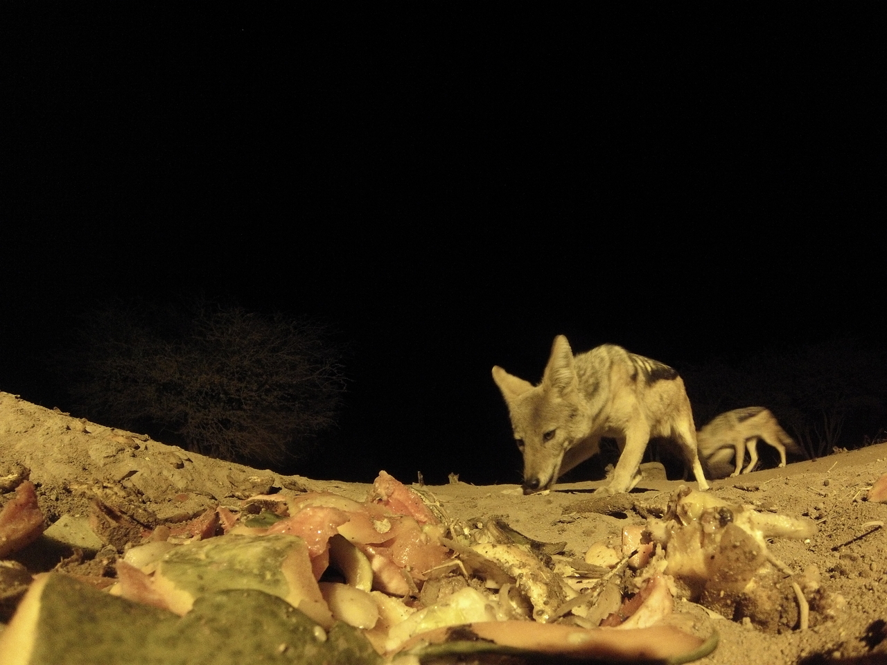 [9865] 2016_06_23_18_46_33_Africa_Hero3-Silver_Edition_IMG__00523.jpg