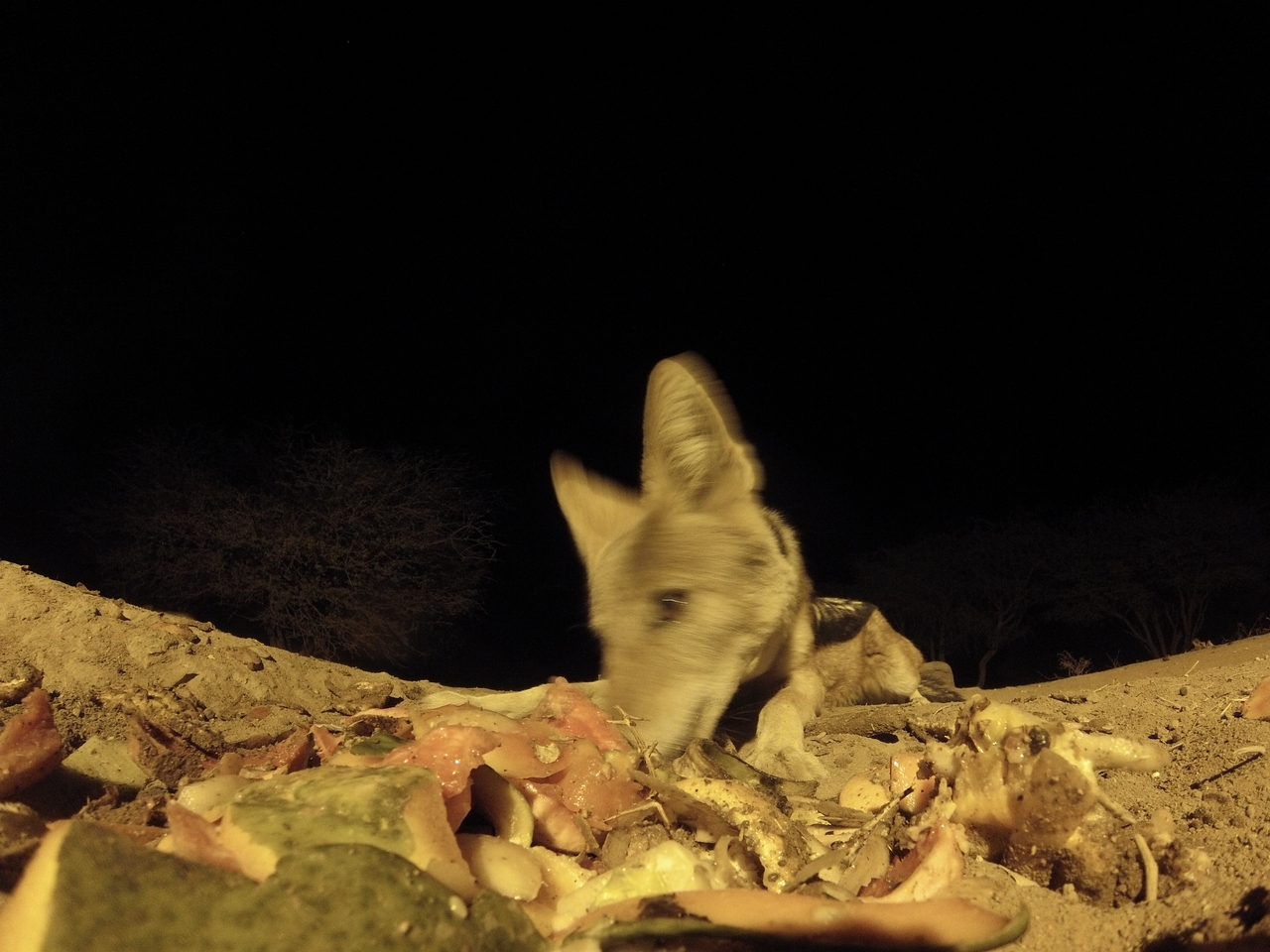 [9885] 2016_06_23_18_46_58_Africa_Hero3-Silver_Edition_IMG__00533.jpg