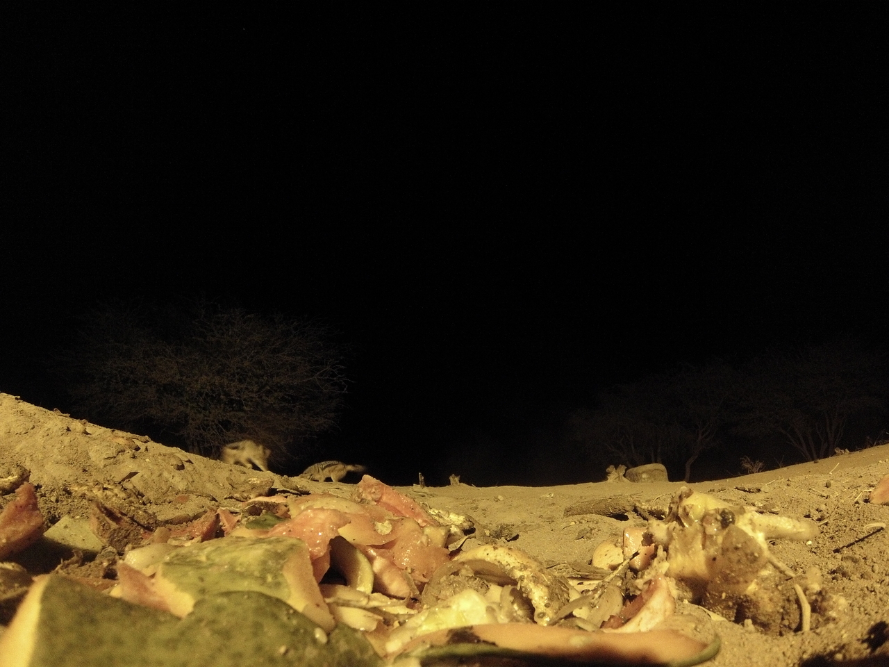 [9890] 2016_06_23_18_47_03_Africa_Hero3-Silver_Edition_IMG__00983.jpg