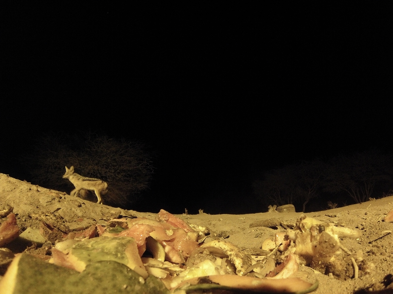 [9892] 2016_06_23_18_47_05_Africa_Hero3-Silver_Edition_IMG__00984.jpg