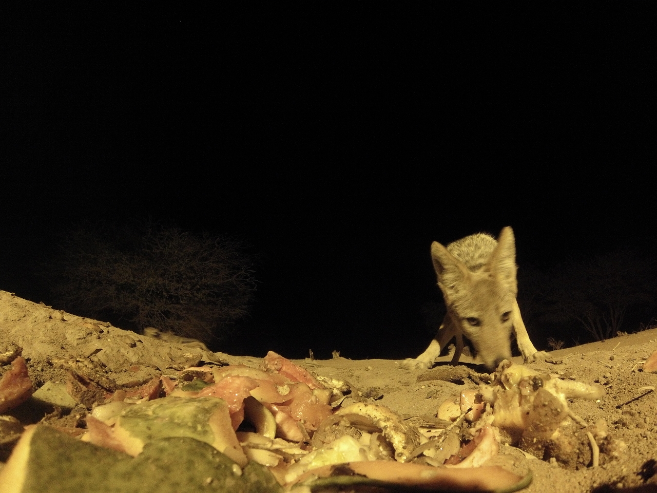 [9900] 2016_06_23_18_47_15_Africa_Hero3-Silver_Edition_IMG__00539.jpg