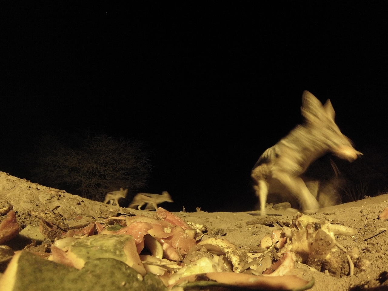 [9903] 2016_06_23_18_47_19_Africa_Hero3-Silver_Edition_IMG__00988.jpg