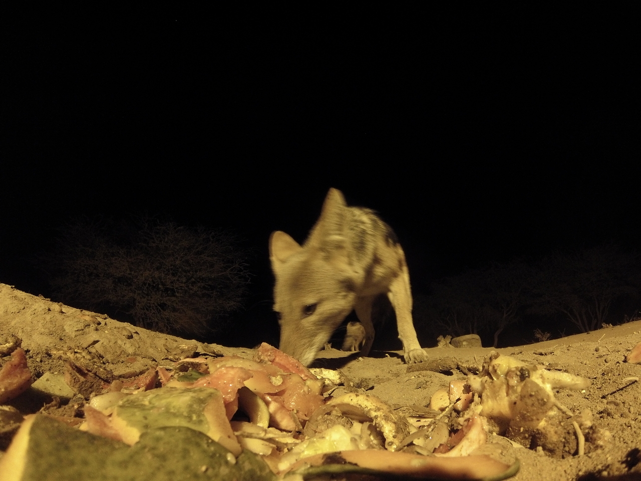 [9907] 2016_06_23_18_47_26_Africa_Hero3-Silver_Edition_IMG__00990.jpg