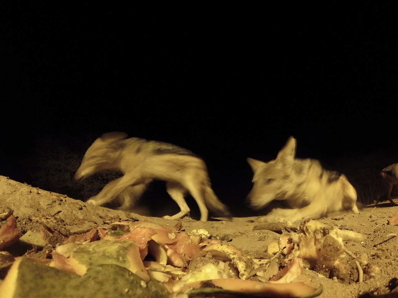 [9914] 2016_06_23_18_47_38_Africa_Hero3-Silver_Edition_IMG__00546.jpg