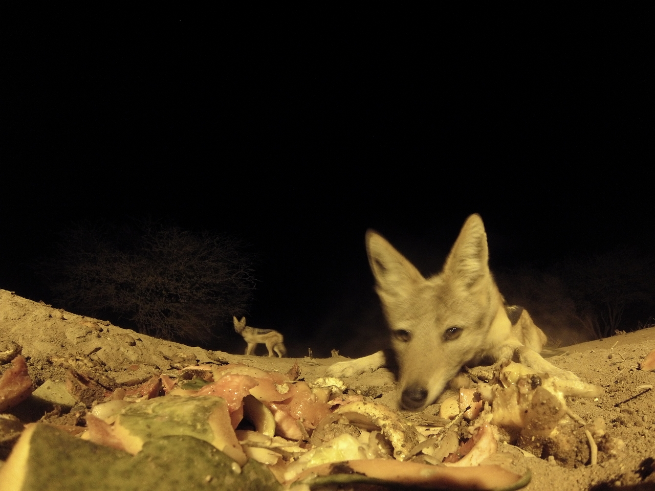 [9919] 2016_06_23_18_47_44_Africa_Hero3-Silver_Edition_IMG__00996.jpg