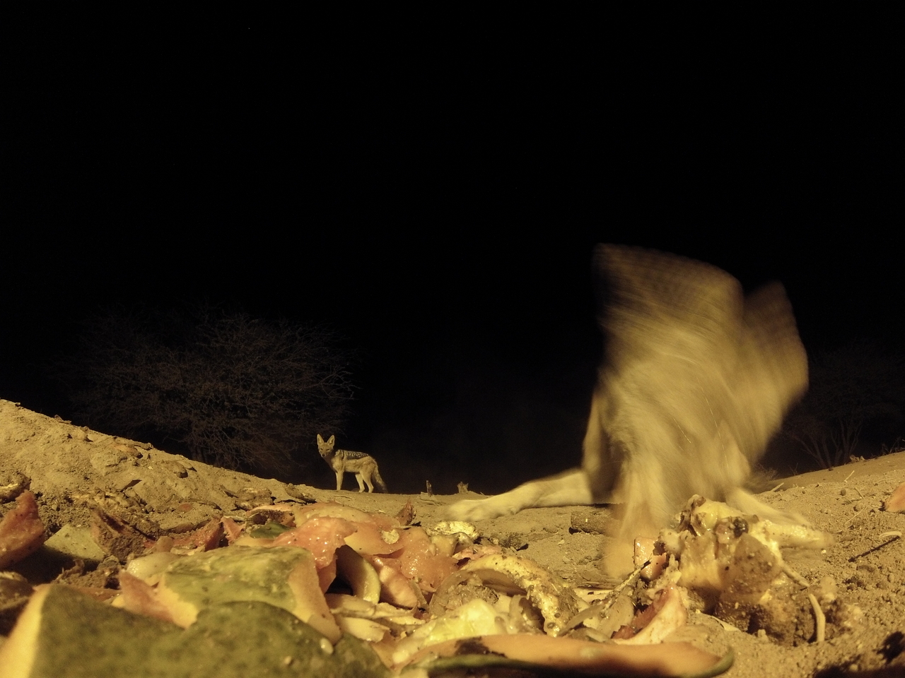 [9921] 2016_06_23_18_47_46_Africa_Hero3-Silver_Edition_IMG__00997.jpg