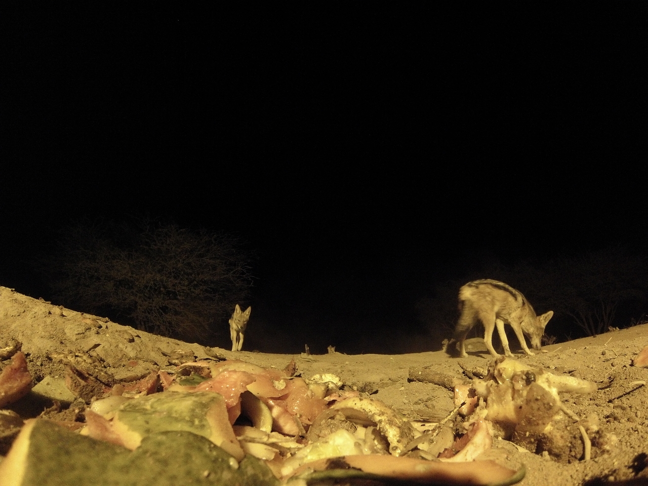 [9923] 2016_06_23_18_47_47_Africa_Hero3-Silver_Edition_IMG__00998.jpg