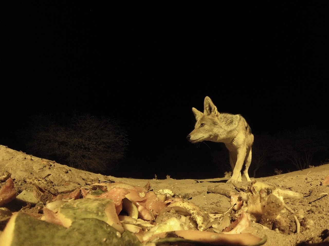 [9927] 2016_06_23_18_47_55_Africa_Hero3-Silver_Edition_IMG__01000.jpg