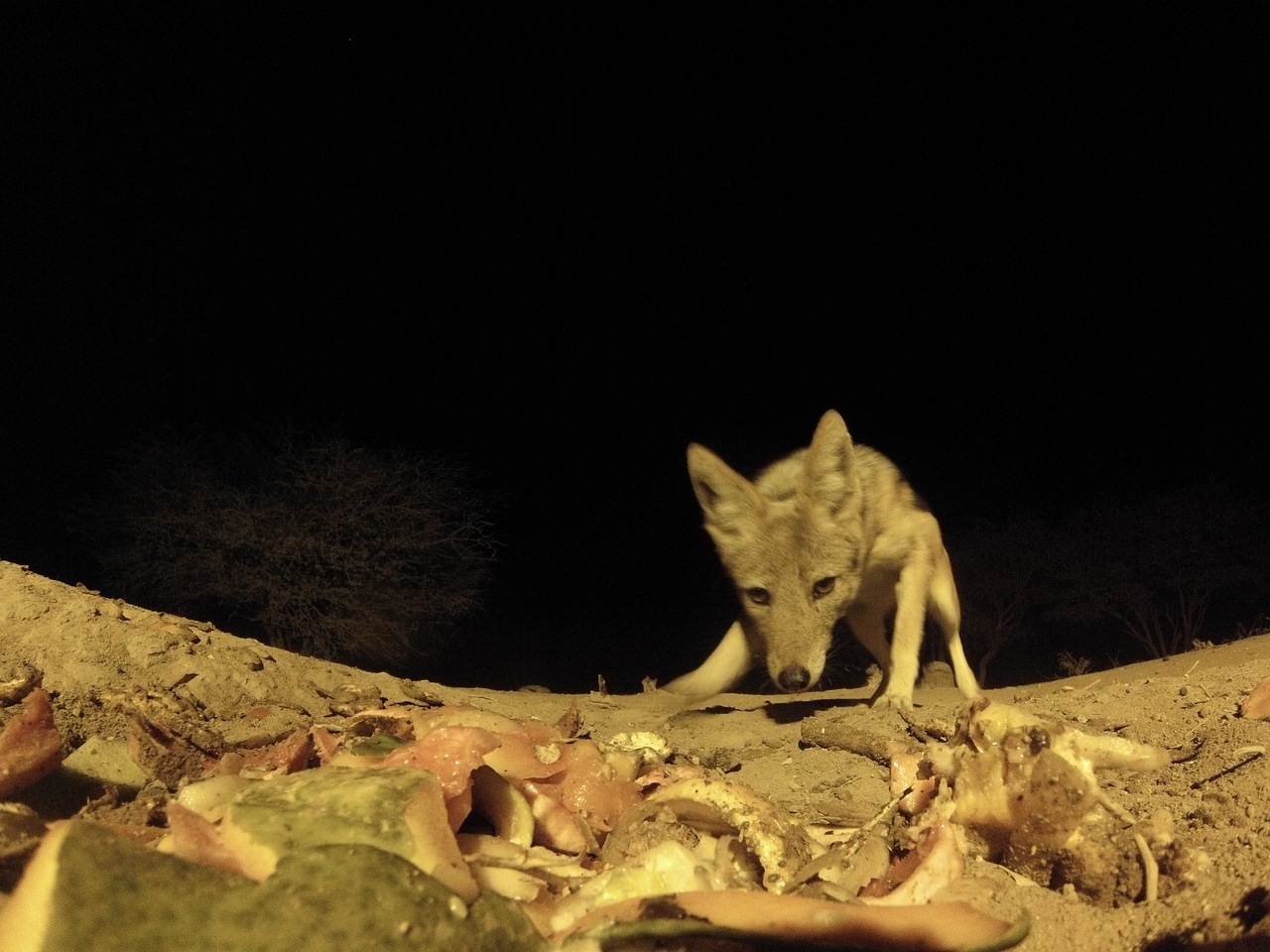 [9929] 2016_06_23_18_47_57_Africa_Hero3-Silver_Edition_IMG__01001.jpg