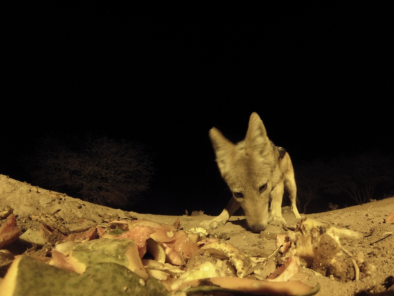 [9930] 2016_06_23_18_48_00_Africa_Hero3-Silver_Edition_IMG__00554.jpg