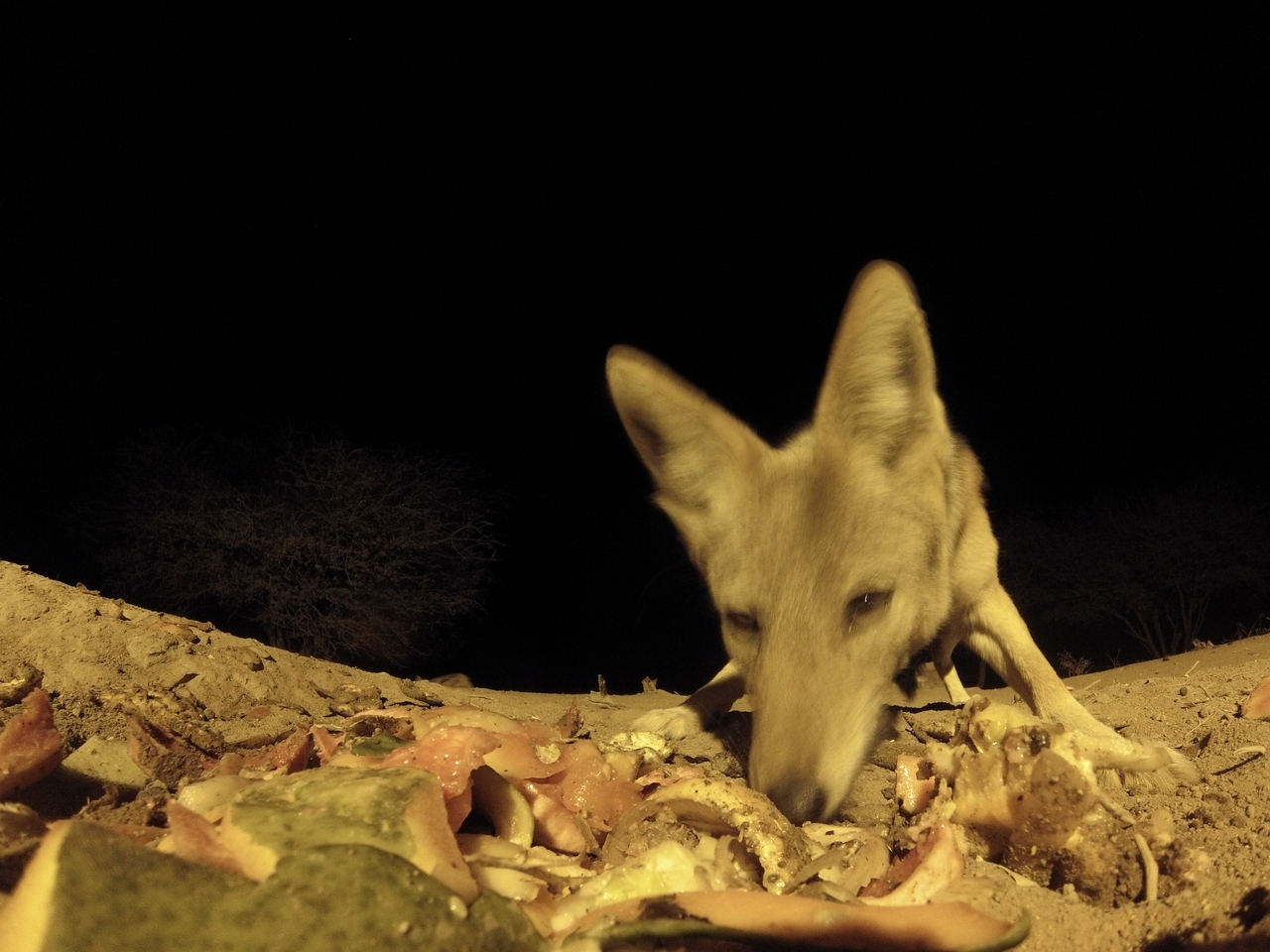 [9934] 2016_06_23_18_48_06_Africa_Hero3-Silver_Edition_IMG__00556.jpg