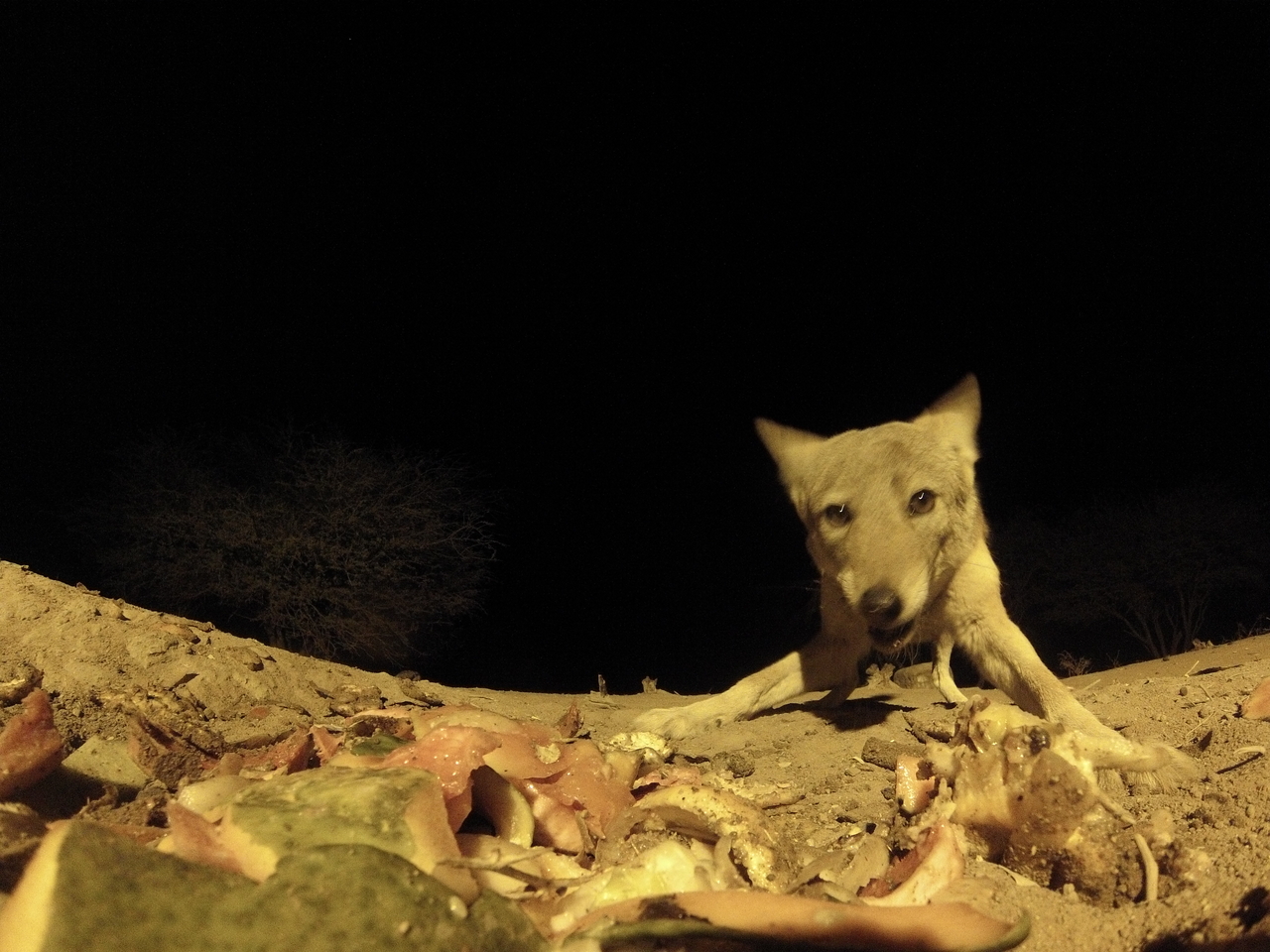 [9937] 2016_06_23_18_48_08_Africa_Hero3-Silver_Edition_IMG__01005.jpg