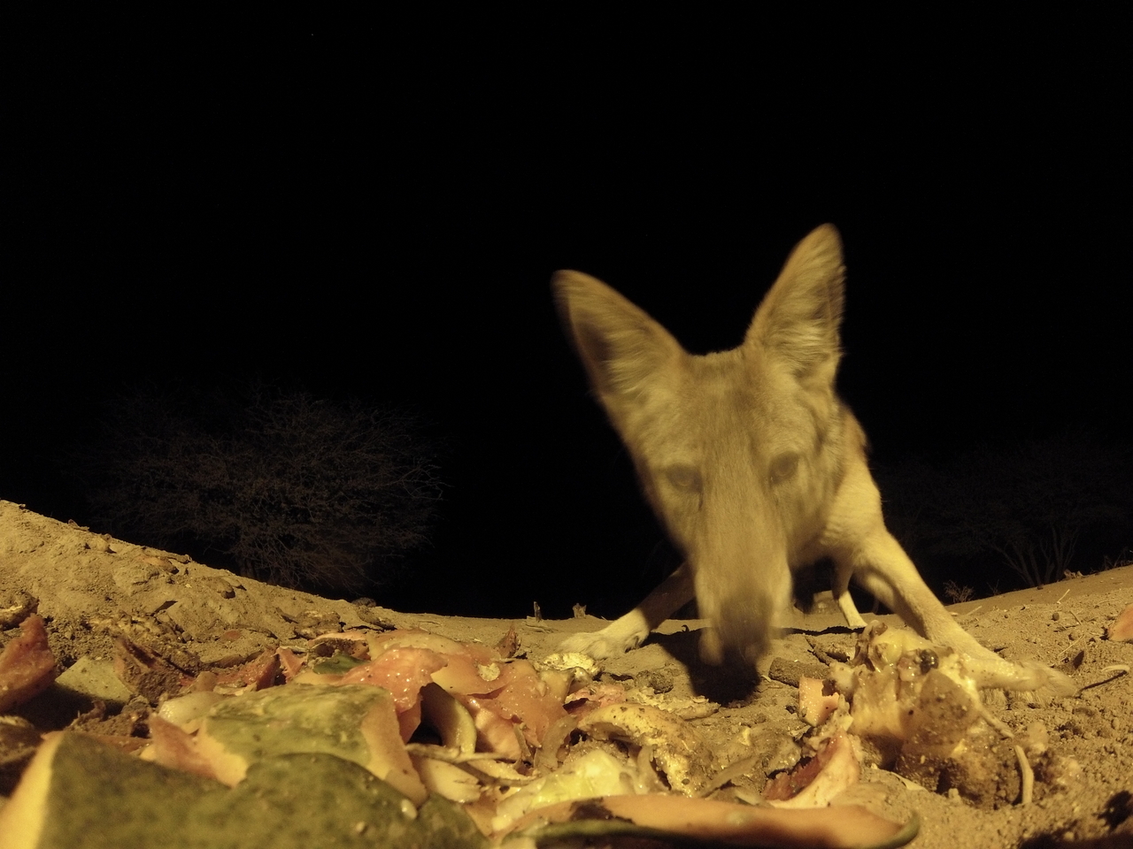 [9939] 2016_06_23_18_48_12_Africa_Hero3-Silver_Edition_IMG__01006.jpg