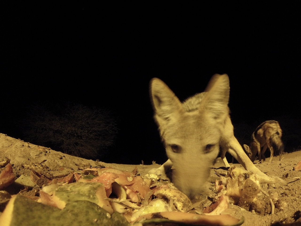 [9940] 2016_06_23_18_48_16_Africa_Hero3-Silver_Edition_IMG__00559.jpg