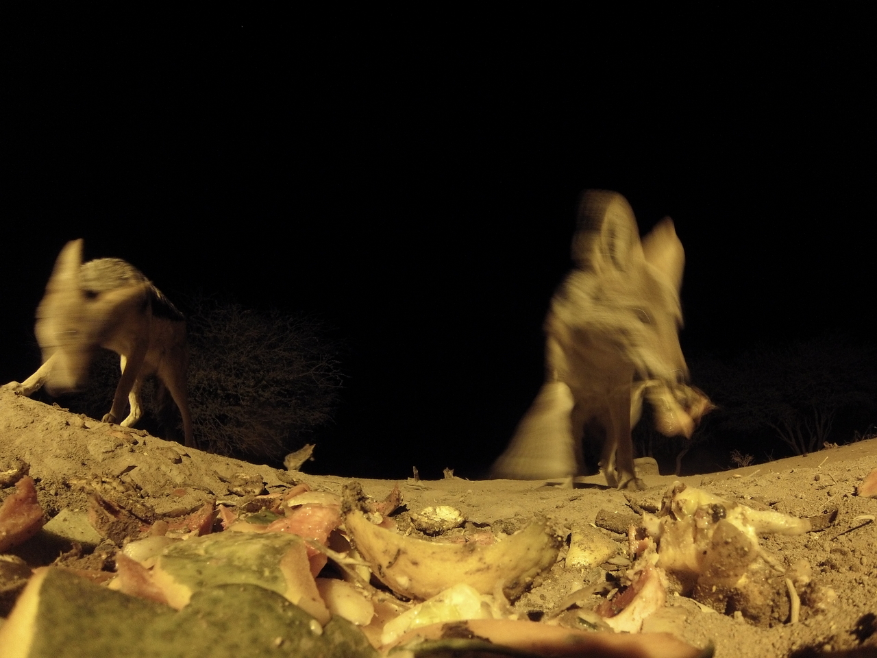 [9953] 2016_06_23_18_48_28_Africa_Hero3-Silver_Edition_IMG__00564.jpg