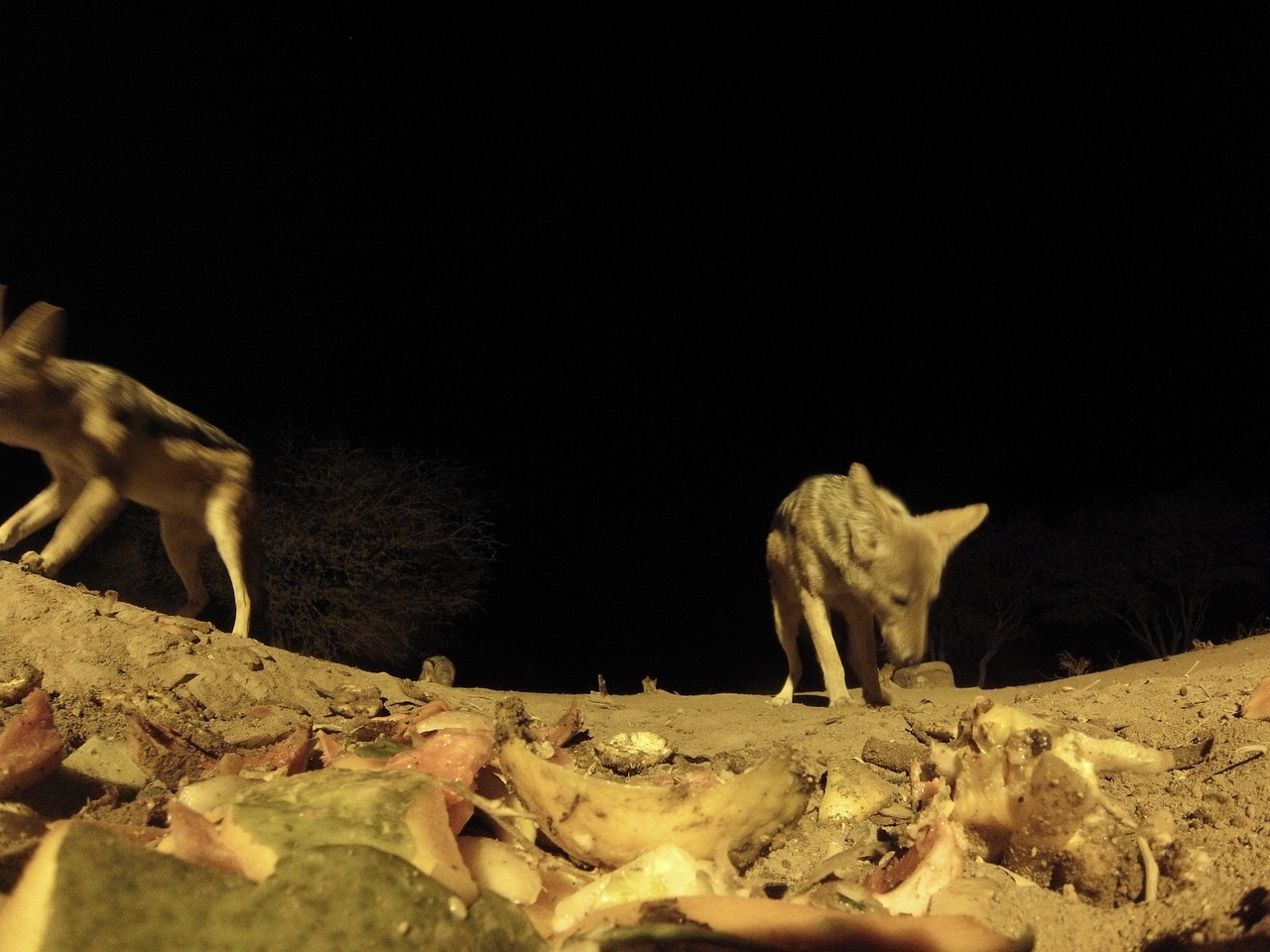 [9956] 2016_06_23_18_48_29_Africa_Hero3-Silver_Edition_IMG__01013.jpg