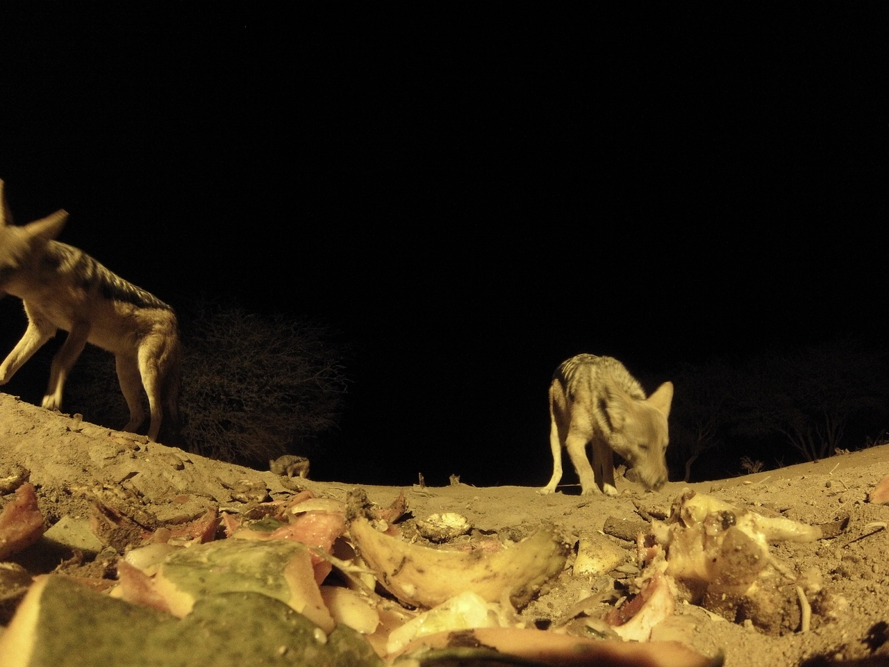 [9958] 2016_06_23_18_48_31_Africa_Hero3-Silver_Edition_IMG__01014.jpg