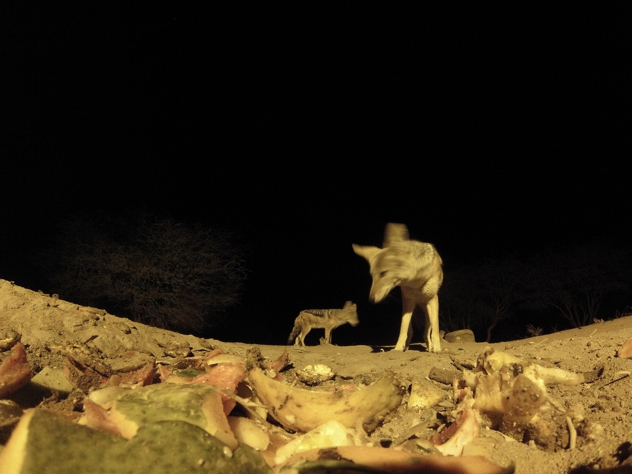 [9959] 2016_06_23_18_48_35_Africa_Hero3-Silver_Edition_IMG__00567.jpg