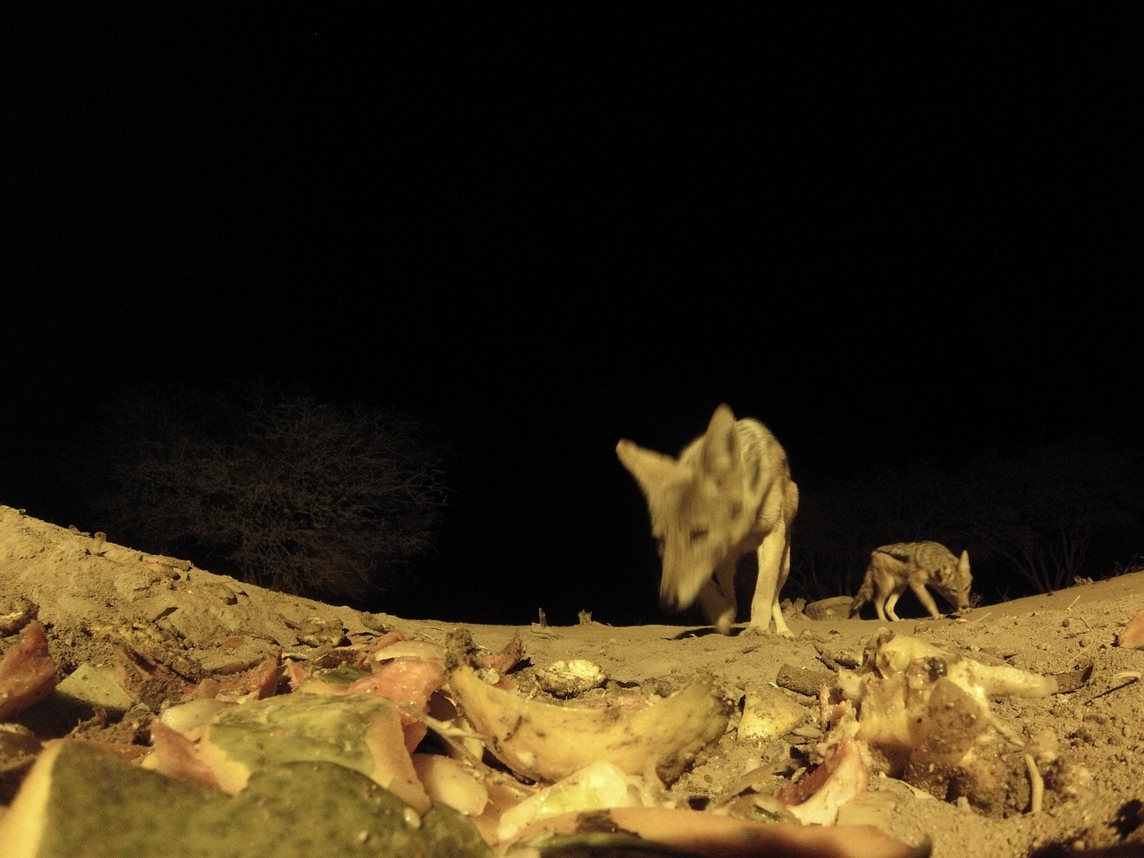 [9964] 2016_06_23_18_48_39_Africa_Hero3-Silver_Edition_IMG__01017.jpg