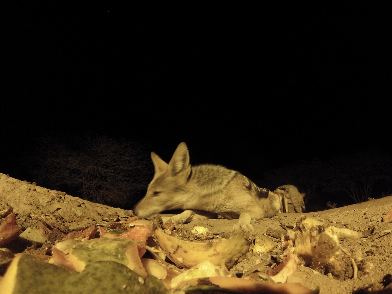 [9972] 2016_06_23_18_48_50_Africa_Hero3-Silver_Edition_IMG__01021.jpg