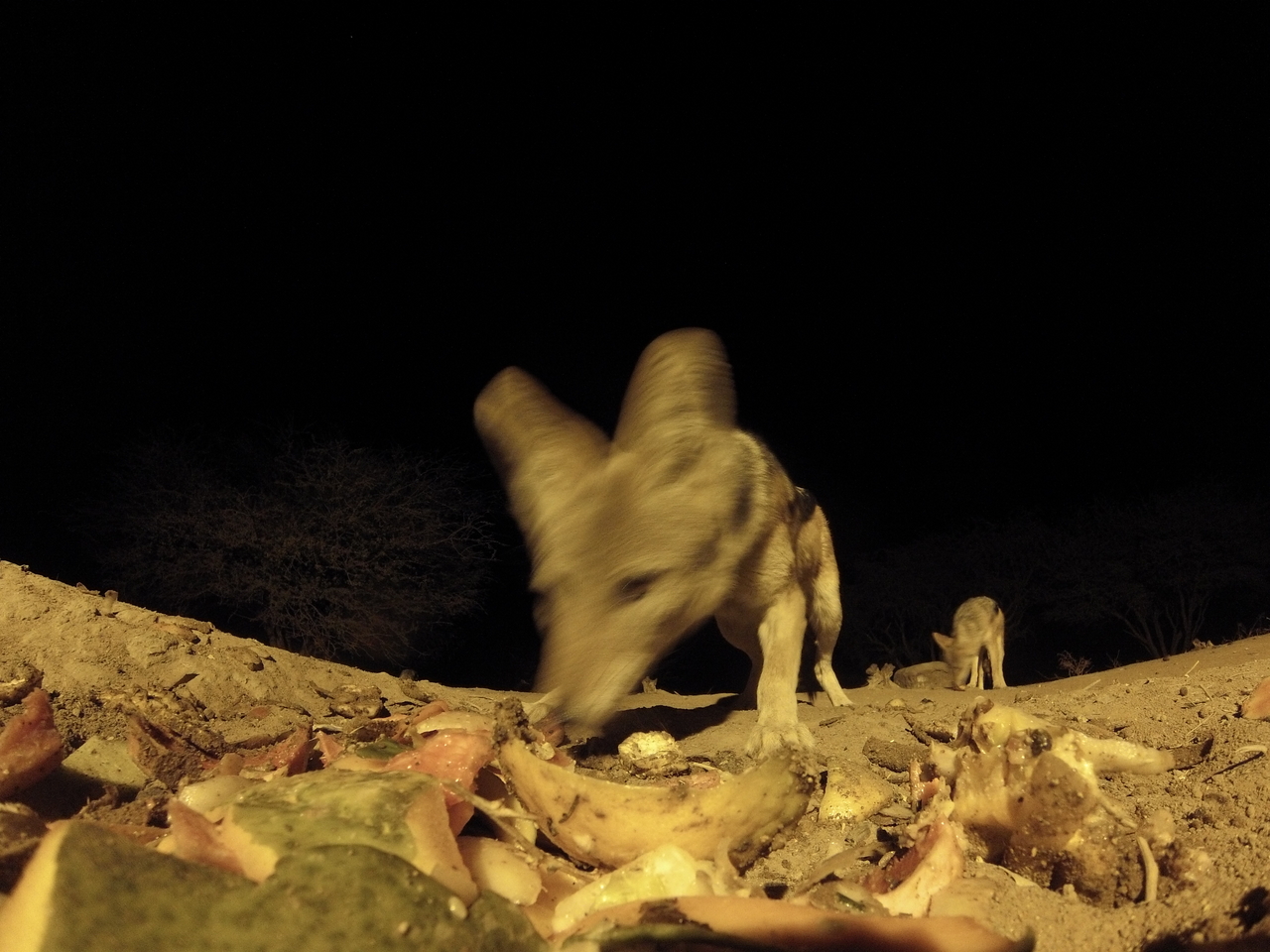 [9982] 2016_06_23_18_49_04_Africa_Hero3-Silver_Edition_IMG__01026.jpg