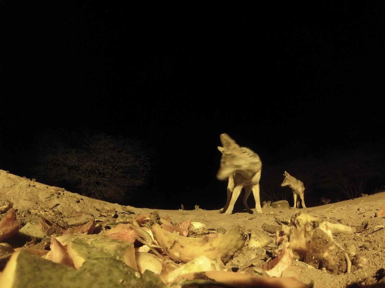 [9988] 2016_06_23_18_49_09_Africa_Hero3-Silver_Edition_IMG__01029.jpg