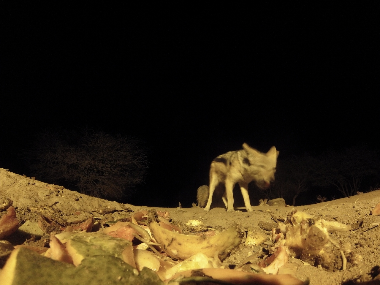 [9993] 2016_06_23_18_49_18_Africa_Hero3-Silver_Edition_IMG__00584.jpg