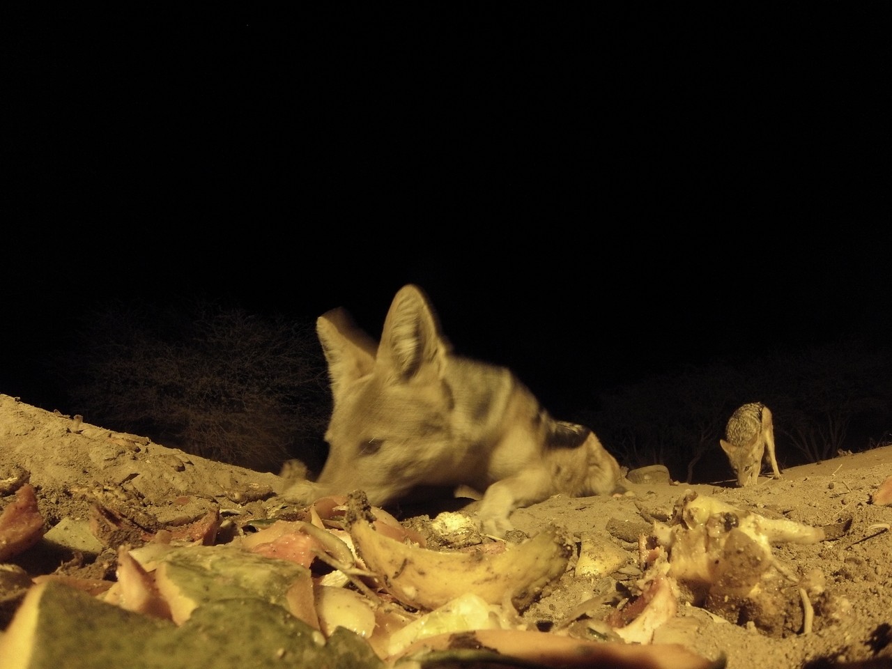 [10003] 2016_06_23_18_49_30_Africa_Hero3-Silver_Edition_IMG__00589.jpg