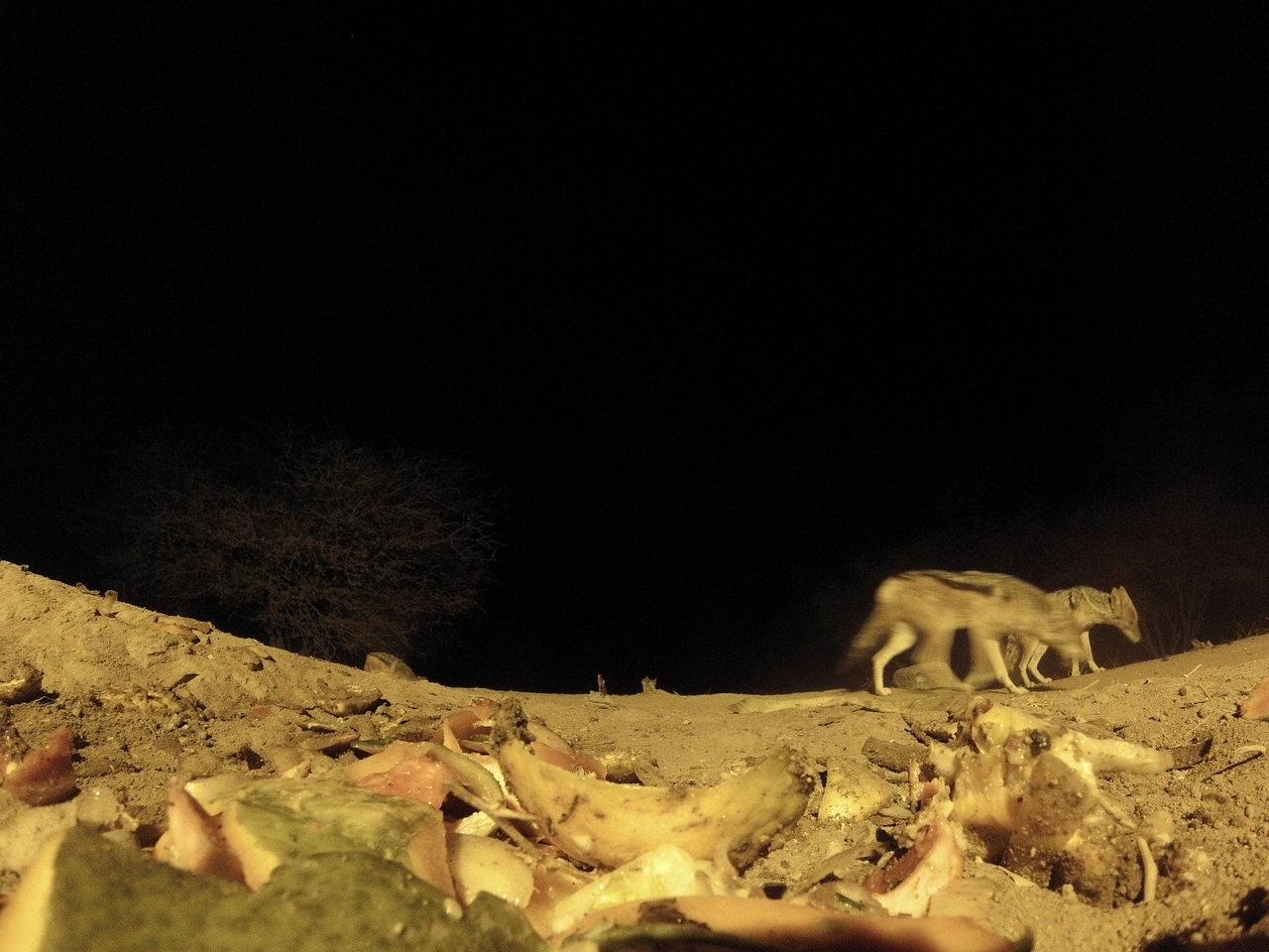 [10012] 2016_06_23_18_49_41_Africa_Hero3-Silver_Edition_IMG__01041.jpg