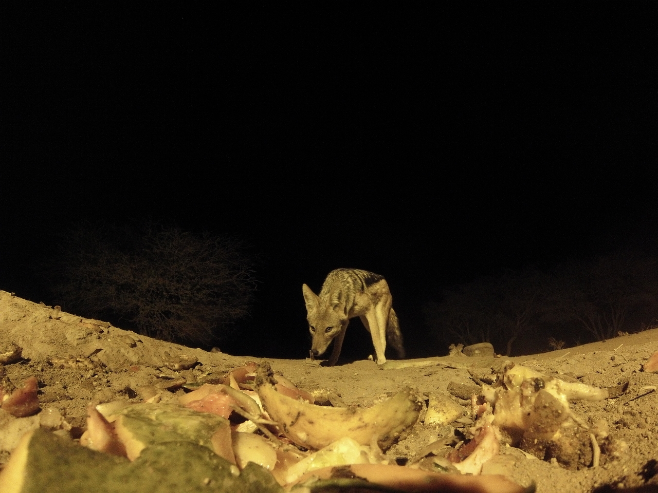 [10013] 2016_06_23_18_49_46_Africa_Hero3-Silver_Edition_IMG__00594.jpg