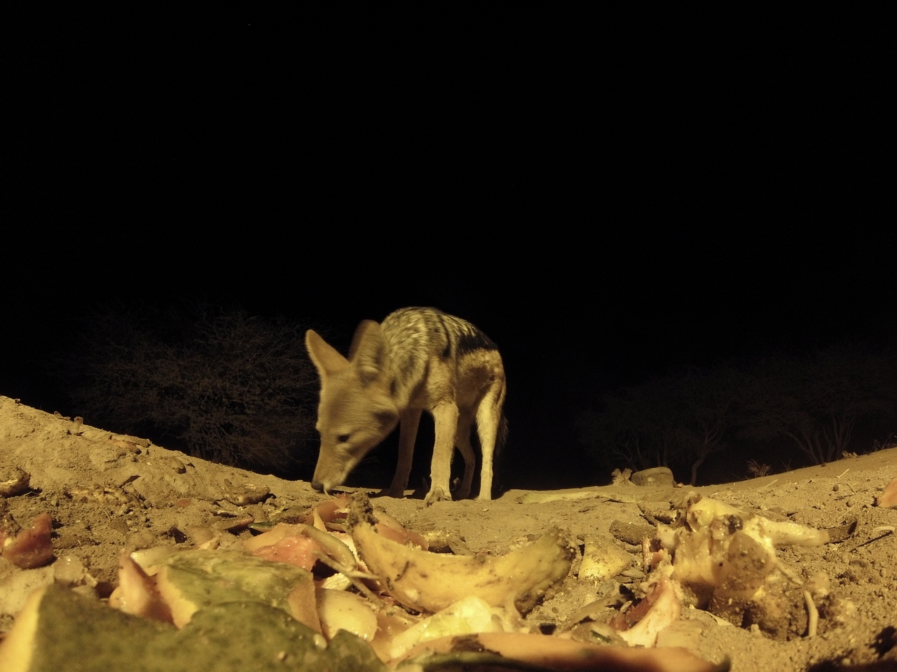 [10017] 2016_06_23_18_49_50_Africa_Hero3-Silver_Edition_IMG__00596.jpg