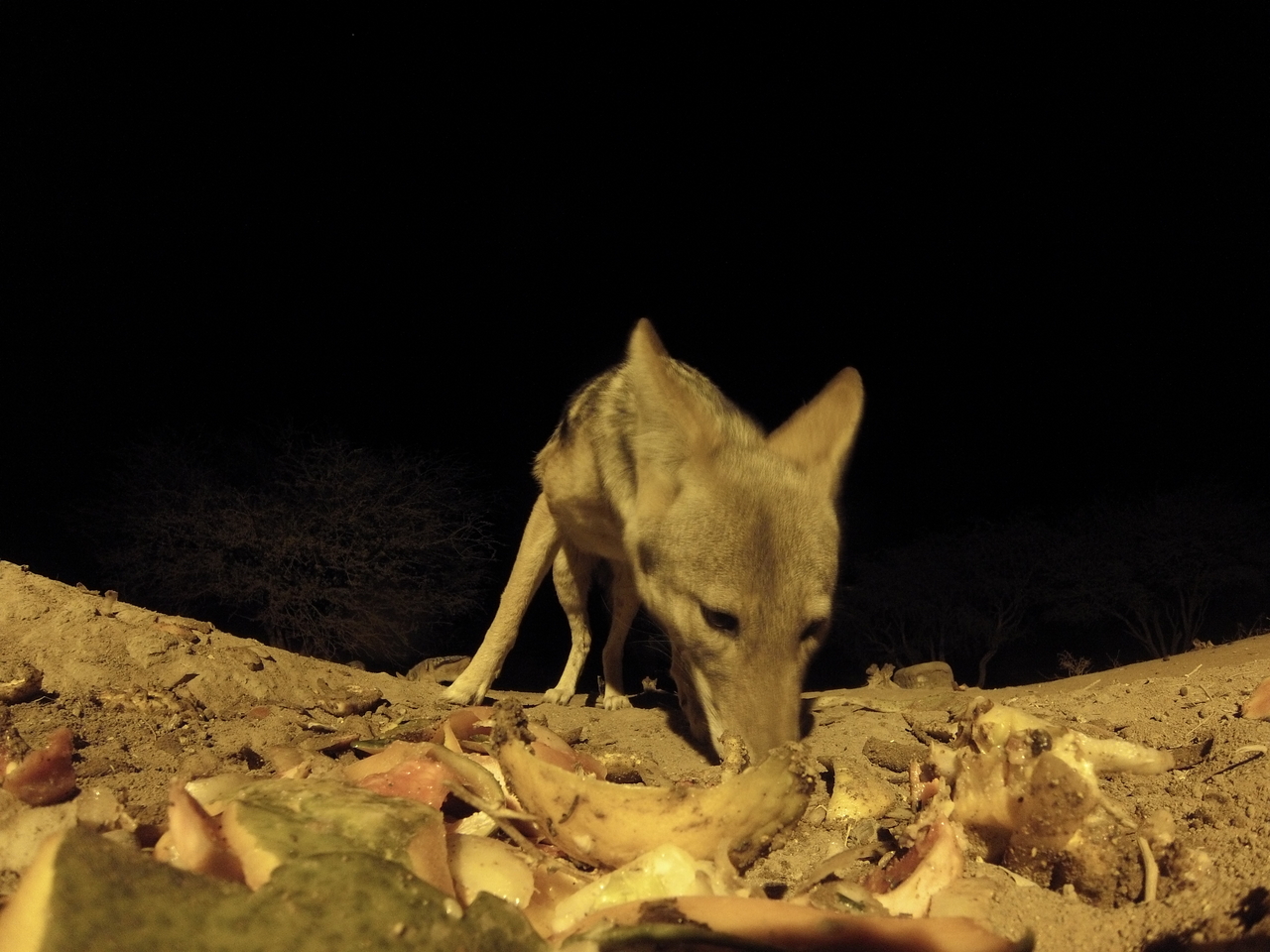 [10025] 2016_06_23_18_50_02_Africa_Hero3-Silver_Edition_IMG__00600.jpg