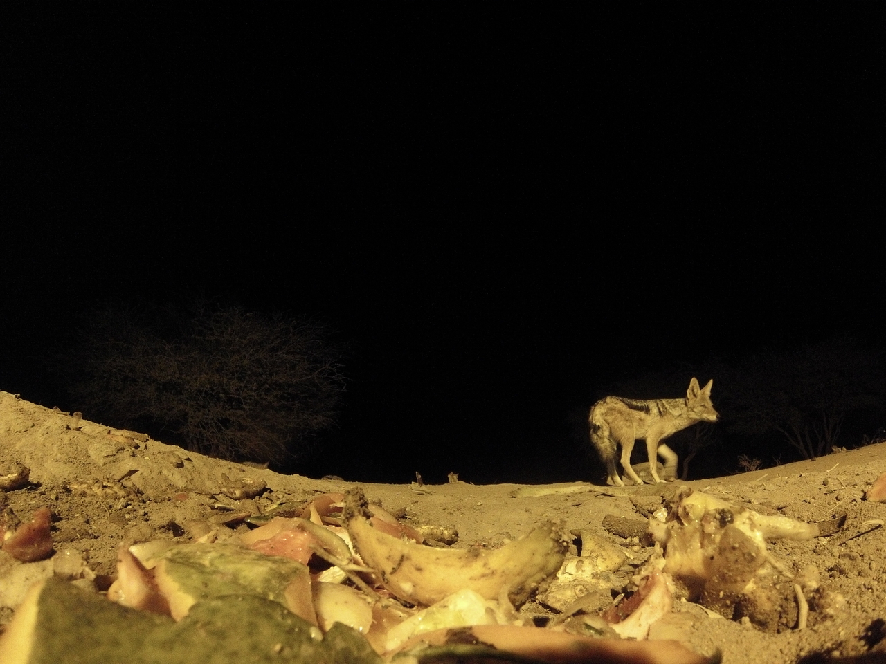 [10035] 2016_06_23_18_50_17_Africa_Hero3-Silver_Edition_IMG__00605.jpg