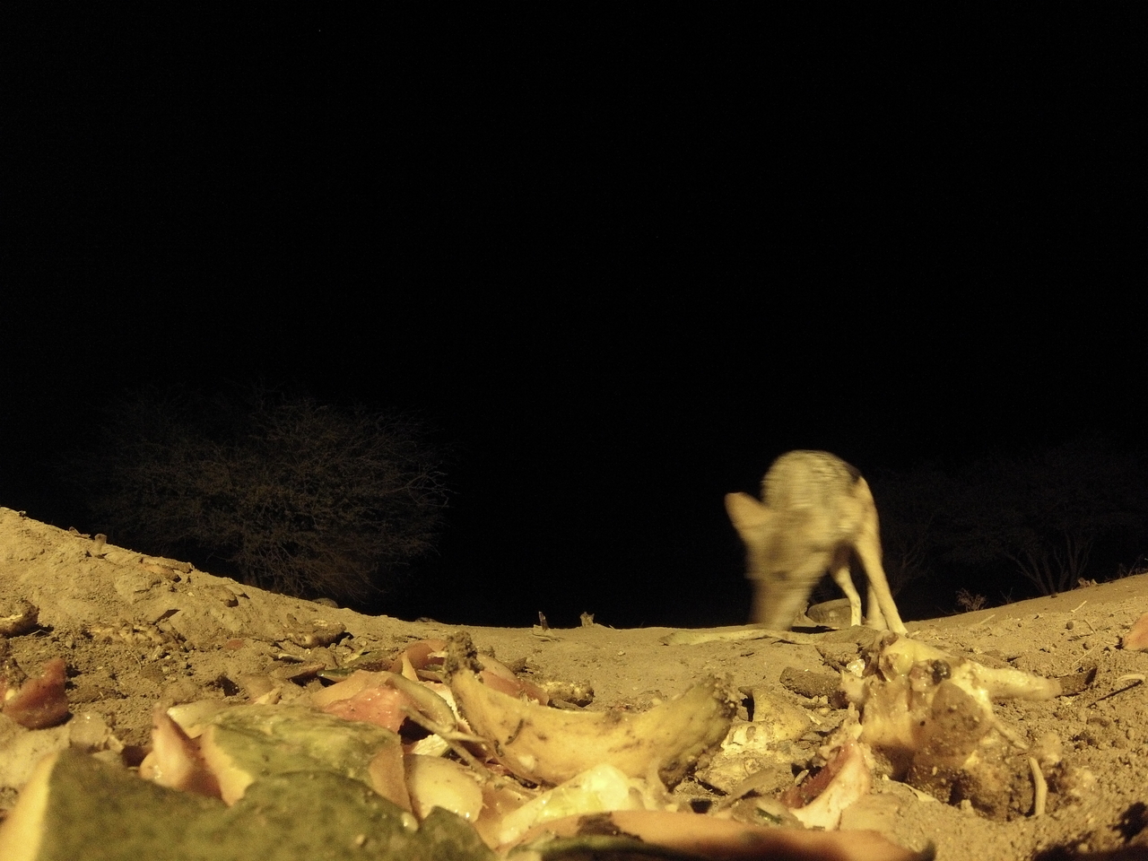 [10040] 2016_06_23_18_50_21_Africa_Hero3-Silver_Edition_IMG__01055.jpg