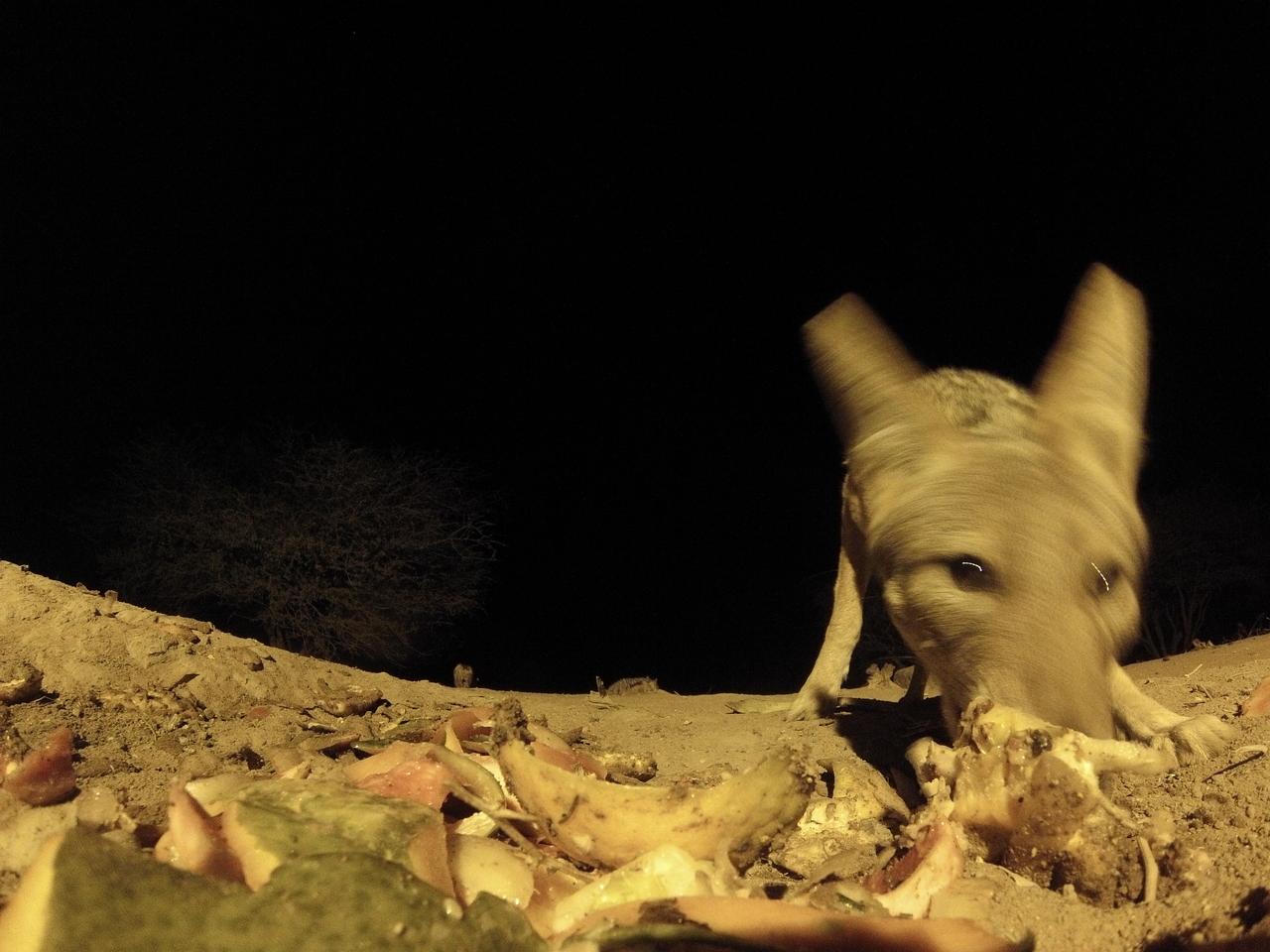 [10057] 2016_06_23_18_50_47_Africa_Hero3-Silver_Edition_IMG__00616.jpg