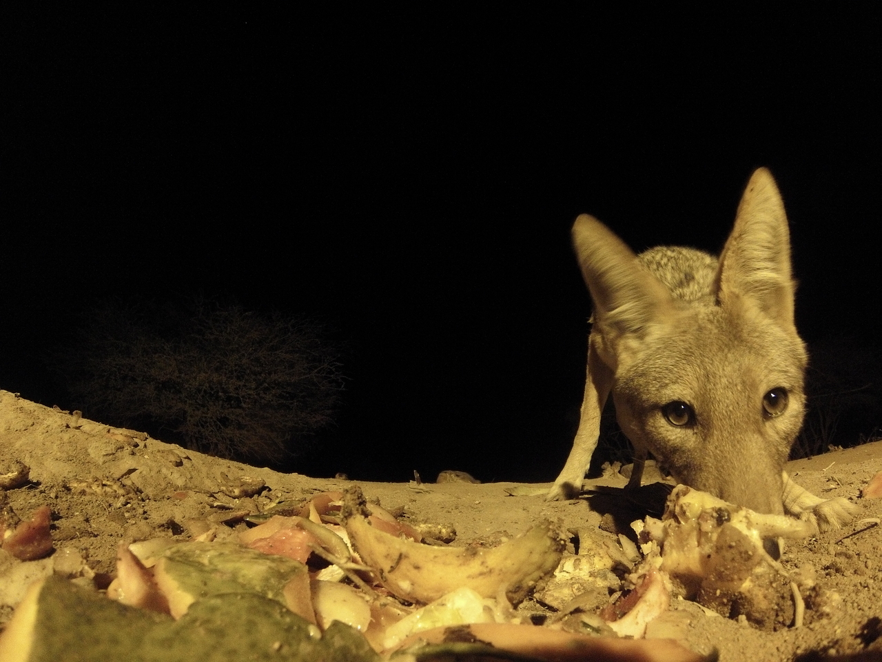 [10060] 2016_06_23_18_50_49_Africa_Hero3-Silver_Edition_IMG__01065.jpg